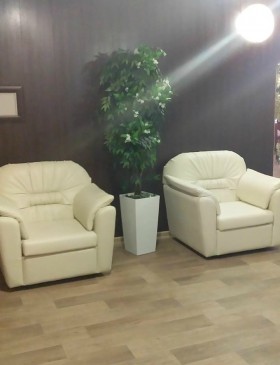 Кресло Премьер в Кодинске - kodinsk.katalogmebeli.com | фото 5