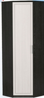 Шкаф для одежды угловой ДЛЯ ГОСТИНОЙ ШОУ-695 Венге/Дуб выбеленный в Кодинске - kodinsk.katalogmebeli.com | фото